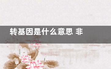 转基因是什么意思 非转基因是什么意思